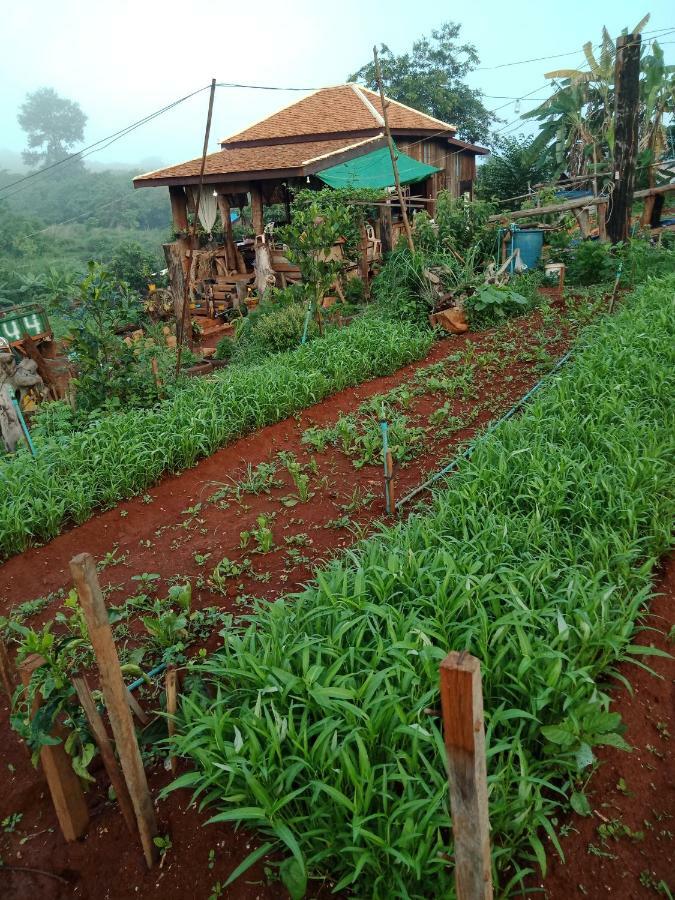 Happy Bungalow & Trekking Banlung Exterior foto
